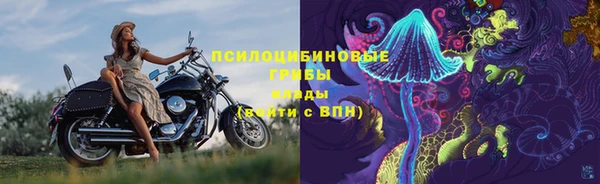 хмурый Каменногорск