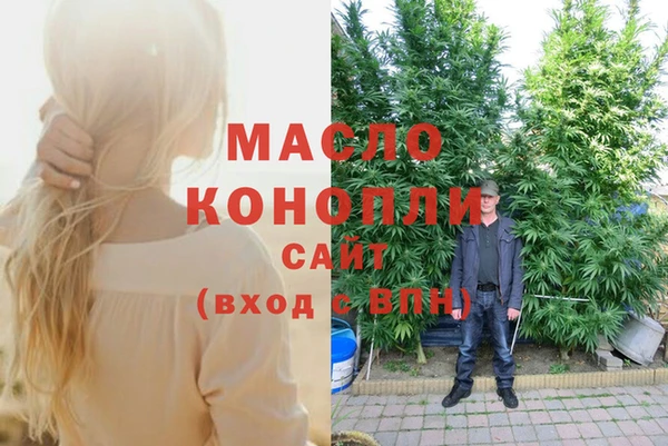 хмурый Каменногорск