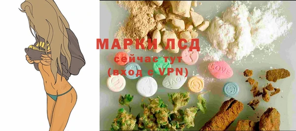 хмурый Каменногорск