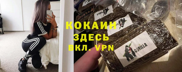 дмт Каменск-Шахтинский
