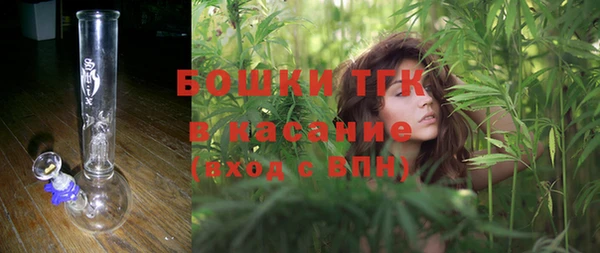 хмурый Каменногорск