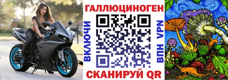 Купить где  Мураши  Галлюциногенные грибы прущие грибы 