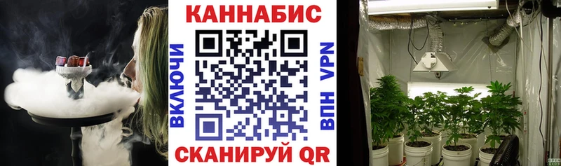 Каннабис Bruce Banner  Купить где  Мураши 